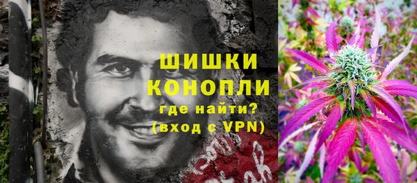 ГАЛЛЮЦИНОГЕННЫЕ ГРИБЫ Покров