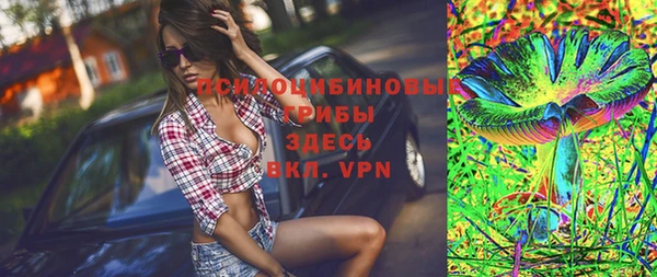 ГАЛЛЮЦИНОГЕННЫЕ ГРИБЫ Покров