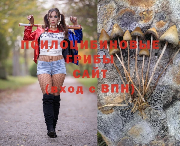 крисы Покровск